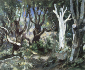 Forrest with trees by Jan Sluijters ('s-Hertogenbosch 1881 -1957  Amsterdam)