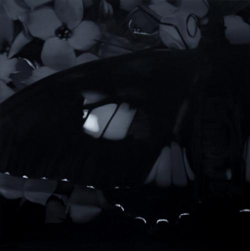Butterfly 7