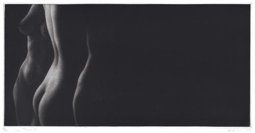 La Terre 41