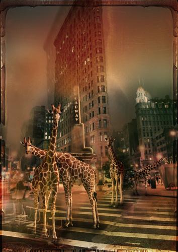 ZooCity Girafes