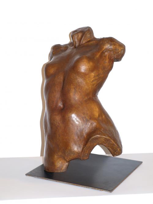 Female torso