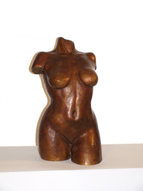 Torso M