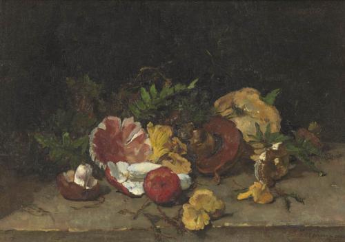Nature morte aux champignons