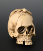A Japanese ivory skull