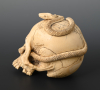 Een Japanse ivoren schedel