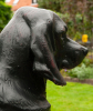 A Pair of French Life-Size Models of Hounds Entitled 'Deux Chiens Assis'