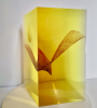 Andrej Jakab, driehoekig, helder kristal, geslepen object met de titel 'Nautilus' - Andrej Jakab