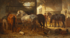 Horse stable covered in sunshine - Wouterus Verschuur