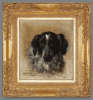 Springer Spaniel - Henriëtte Ronner-Knip