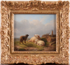 Dutch landscape with sheep
