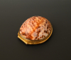 A tobacco box