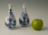 A pair of Chinese porcelain vases