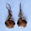 Diamond and opal earrings