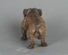 A strong Vienna bulldog bronze, circa 1890