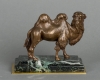 An unusual French camel bronze circa 1860