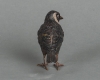 A charming multicoloured Vienna finch bird bronze late 19th century