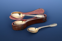 Travel case with six spoons