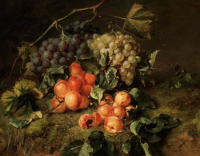 Fruit Still life - Adriana Johanna Haanen