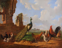 Landscape with a Peacock and poultry - Albertus Verhoesen