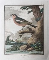 L'histoire naturelle des oiseaux: 20 engravings depicting birds