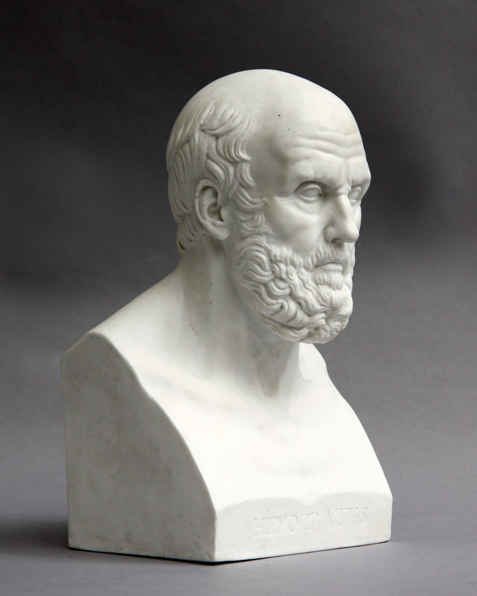 Sèvres bust Hippocrates | Robert Schreuder