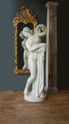 A Statue of Venus Callipyge