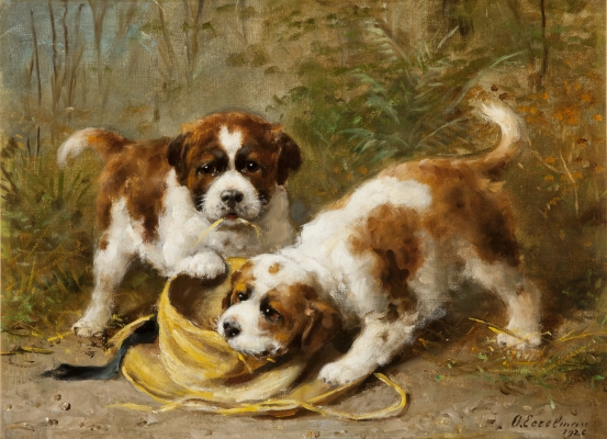 Two Saint-Bernard puppies playing with a hat - Otto Eerelman - Otto Eerelman