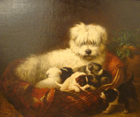 Henriette Ronner-Knip, schilderiij van honden: Maltezer met pups - Henriette Ronner-Knip